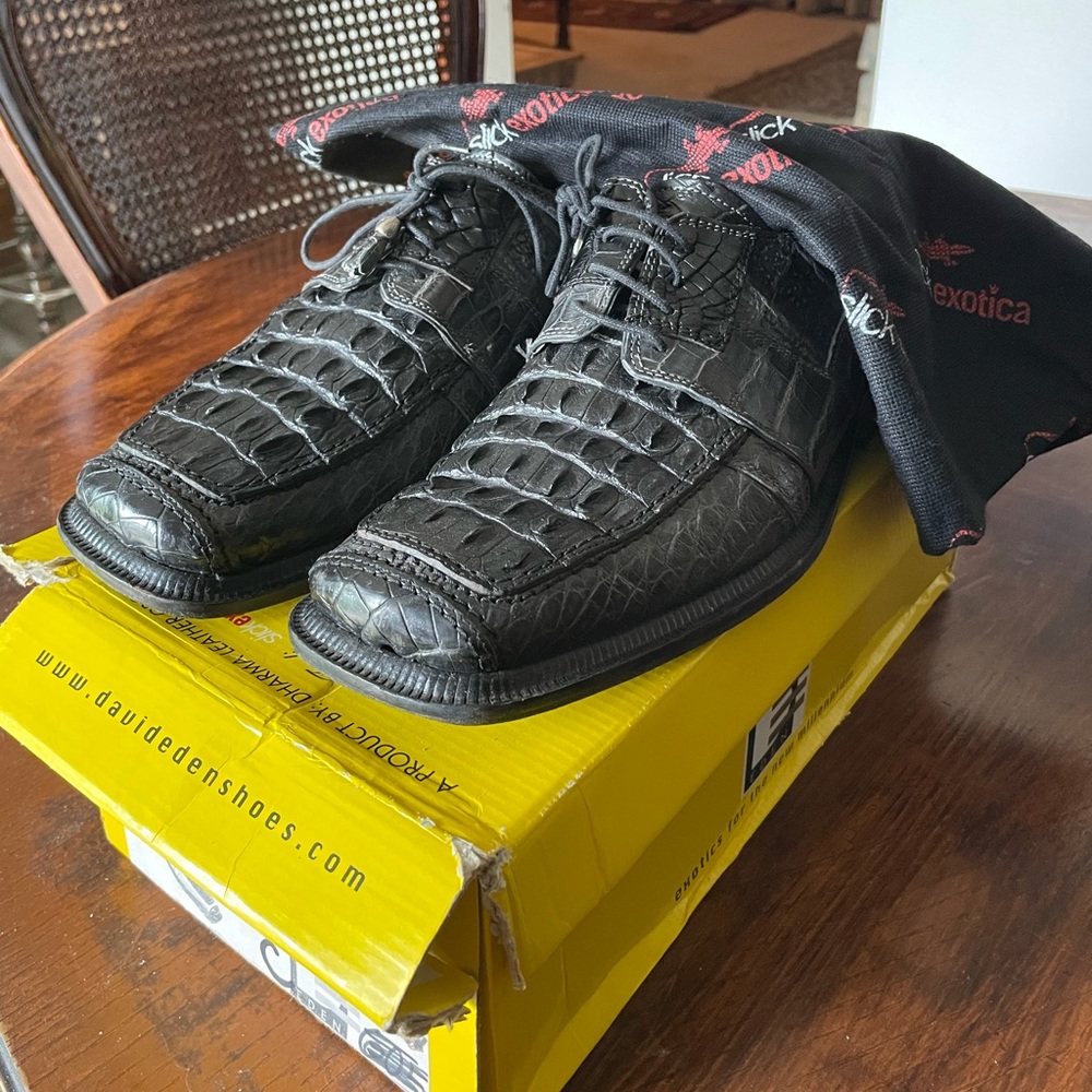 David Eden Black and gray Gators!